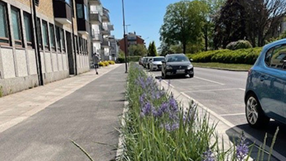 Bild på nylagd blomsterbädd med blommor på Drottninggatan. 