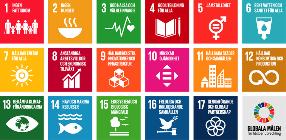 Bild som illustrerar de 17 globala målen
