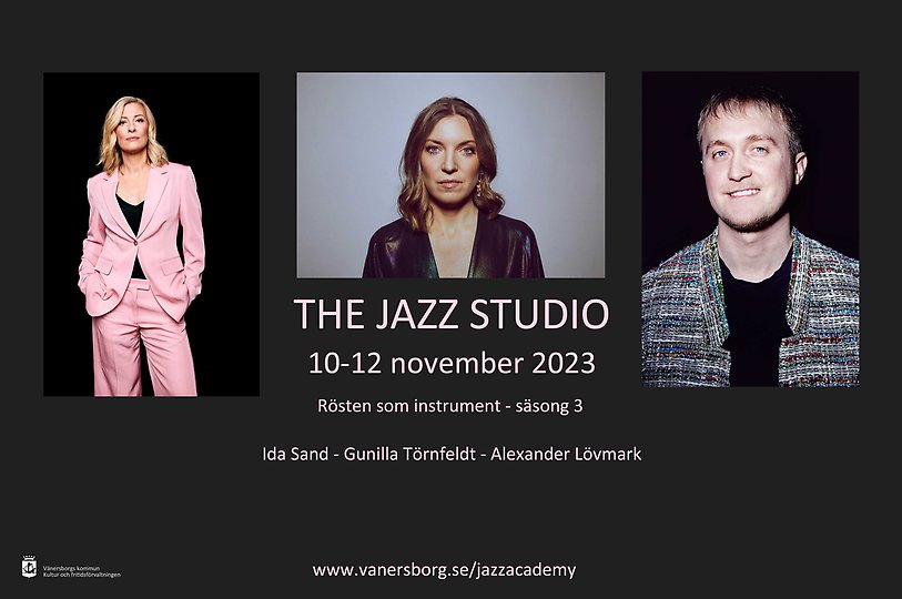 Affisch Rösten som instrument 10-12 november info maila anna.lundkvist@vanersborg.se
